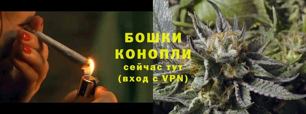 PSILOCYBIN Беломорск