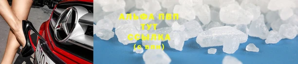 PSILOCYBIN Беломорск