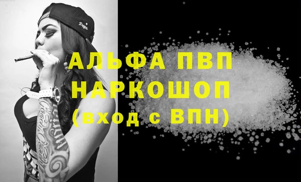 PSILOCYBIN Беломорск